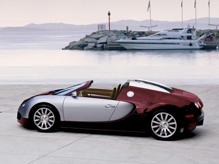 bugatti-veyron-targa_1.jpg
