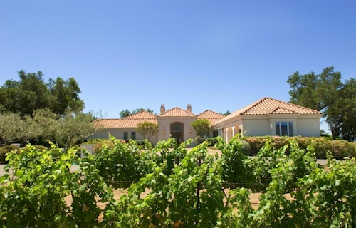 $14 Million Alta Vista Estate Vineyard
