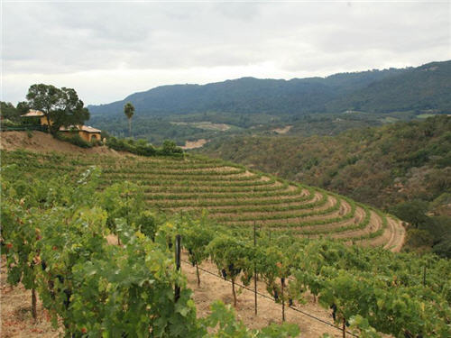 119-million-luxury-wine-country-estate-compound-glen-ellen-california-16