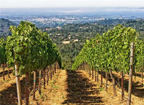 158-million-wine-country-living-in-santa-rosa-california-13