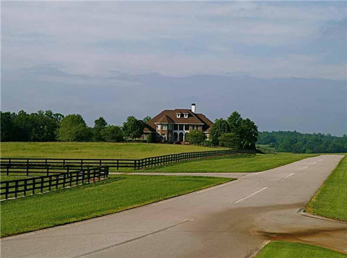 $5.4 Million Gated Estate in Clermont Georgia 9