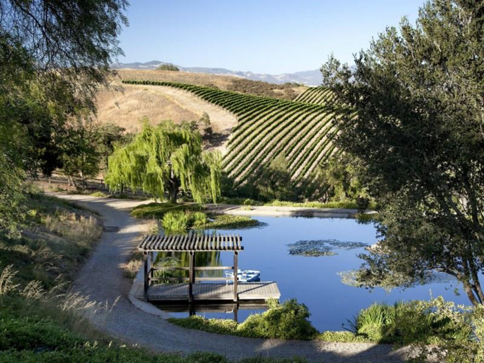 $19 Million Equestrian and Vineyard Estate in California 15