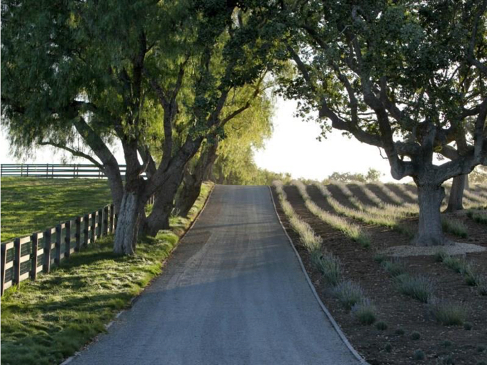 $19 Million Equestrian and Vineyard Estate in California 2