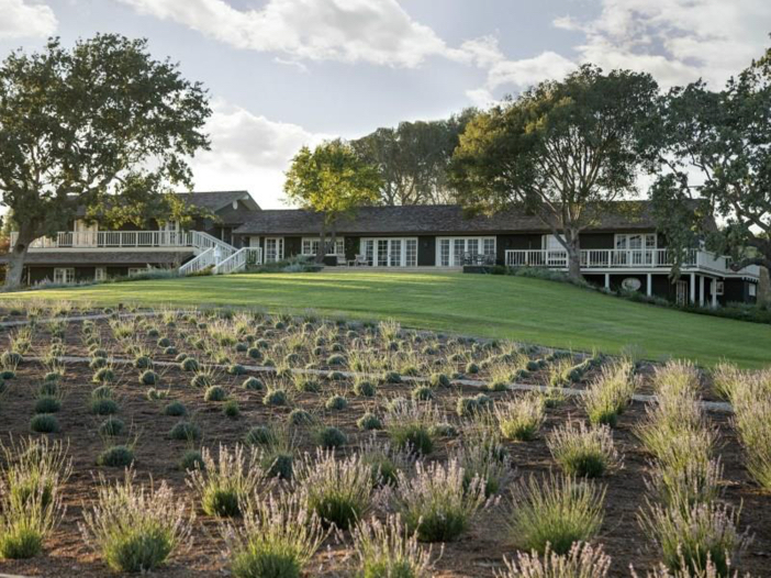 $19 Million Equestrian and Vineyard Estate in California 8