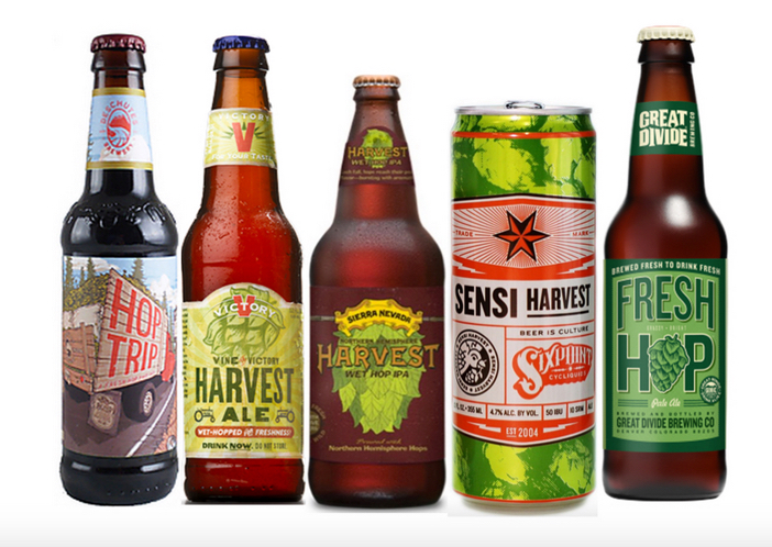 What You Need To Know About Fall Beers 2