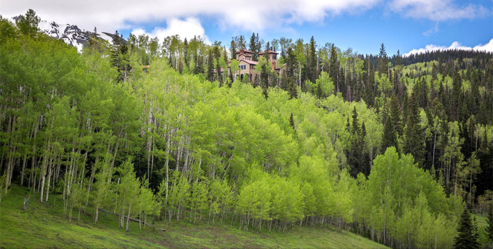 $12.7 Million Villa Montagna in Telluride Colorado 2