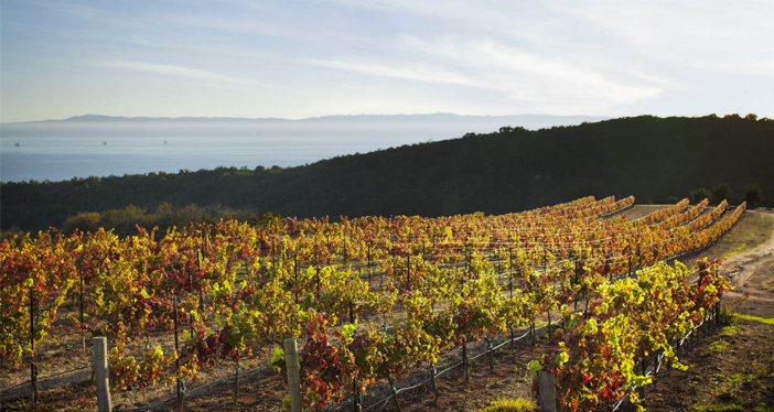 14-5-million-italian-vineyard-estate-in-santa-barbara-california-5