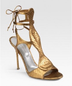 sergio rossi gladiator sandals